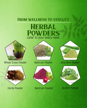 Image showcasing various herbal powders like wheatgrass, beetroot, aloe vera, harde, and brahmi.