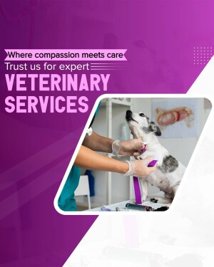 Veterinarian examining a dog in a clinic