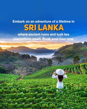 Scenic view of tea plantations in Sri Lanka with a person looking out over the landscape.