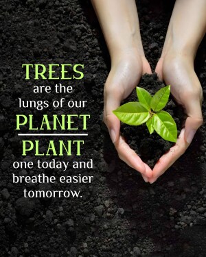 Hands holding a seedling in soil with text promoting tree planting.