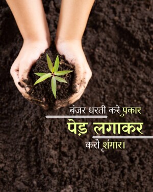 Child's hands cupping a small plant growing in soil