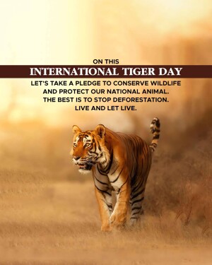 Image promoting International Tiger Day and wildlife conservation with a tiger walking towards the viewer.