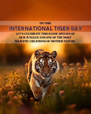 A majestic tiger walking through tall grass with text celebrating International Tiger Day.