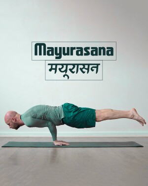 Man performing Mayurasana yoga pose