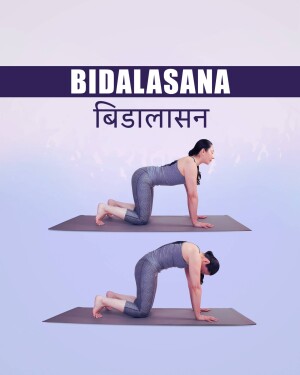 Woman demonstrating Bidalasana yoga pose on a mat