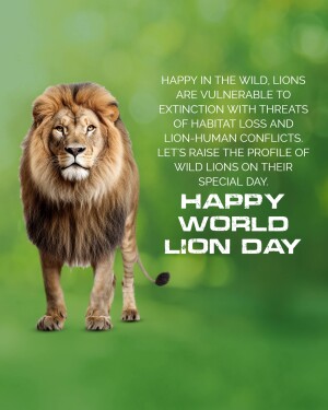 A majestic male lion walking towards the viewer with text overlay celebrating World Lion Day.