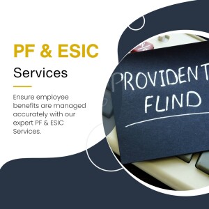 Image depicting PF & ESIC services with a focus on accurate employee benefit management.