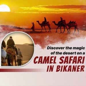 People riding camels in the desert of Bikaner, Rajasthan, India