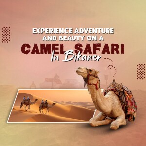 A promotional image for a camel safari in Bikaner, Rajasthan, featuring a camel and desert landscape.
