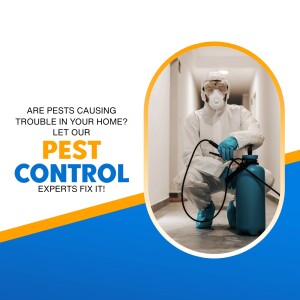 Pest control professional spraying insecticide in a home