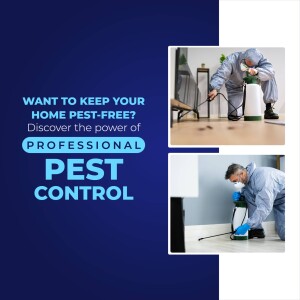 Pest control professional spraying insecticide in a home