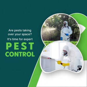 Pest control professional spraying insecticide in a home and outdoor area.