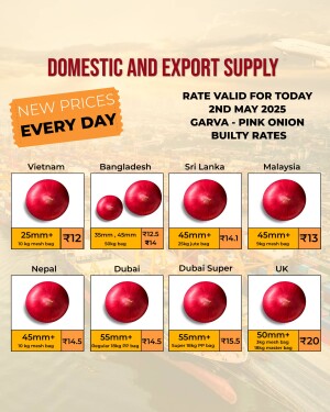 Price list of Garva Pink Onions from various countries with sizes and rates.