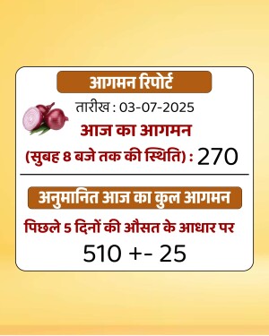 Image of an arrival report for onions at a market, showing daily arrival numbers and estimates.