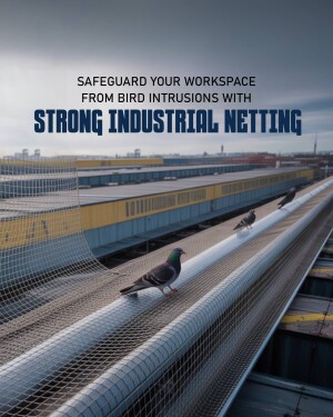 Industrial bird netting protecting a warehouse roof from pigeons