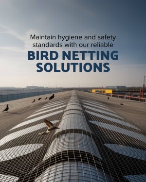 Bird netting installed on a commercial rooftop to prevent bird access.