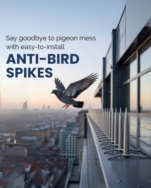 Anti-bird spikes installed on a building ledge with a pigeon flying nearby.