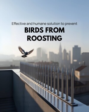 Anti-bird spikes on a rooftop with a bird in flight and a city skyline in the background.