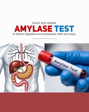 Image depicting an amylase test for detecting digestive enzyme issues with a visual representation of the digestive system and a blood sample.