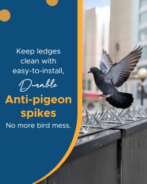 Pigeon attempting to land on anti-pigeon spikes, showcasing a solution to bird mess.