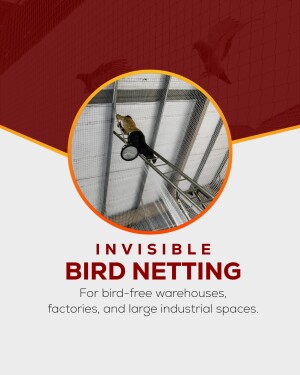 Bird netting installation under a warehouse roof to prevent bird infestation.