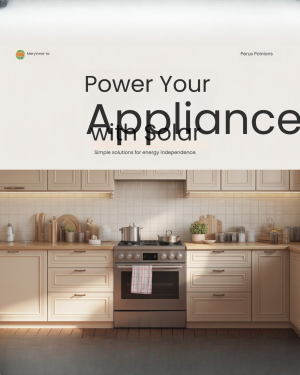 My Business Template