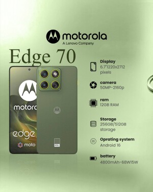 My Business Template