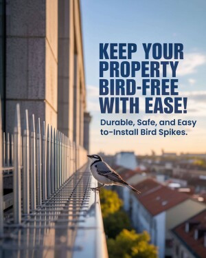 My Business business video