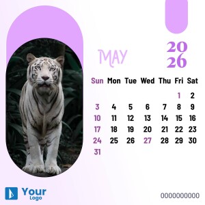 Calendar for May 2024 featuring a majestic white tiger.