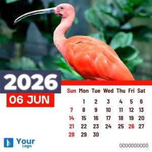 Calendar for June 2025 featuring a pink Ibis bird