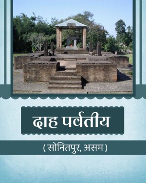 Ancient stone ruins of the Da Parbatia archaeological site in Tezpur, Assam with a blue sky background.