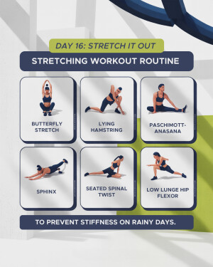 Stretching workout routine with six different poses: Butterfly Stretch, Lying Hamstring, Paschimottanasana, Sphinx, Seated Spinal Twist, and Low Lunge Hip Flexor.
