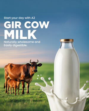 Advertisement for Gir Cow Milk featuring a cow and a splash of milk.