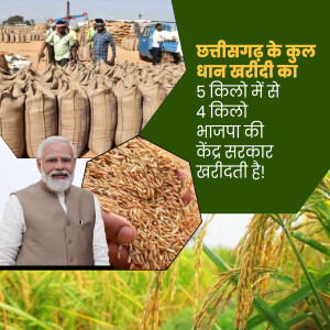 Image depicting rice procurement in Chhattisgarh with Narendra Modi and rice grains.