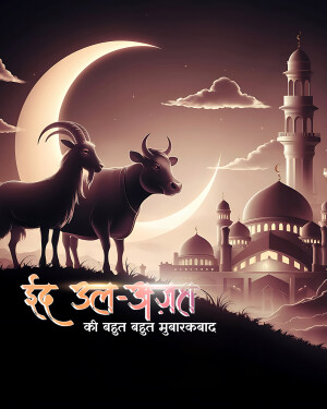 Exclusive Collection - Eid al-Adha festival video