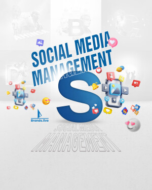 Illustration depicting social media management with icons and text.