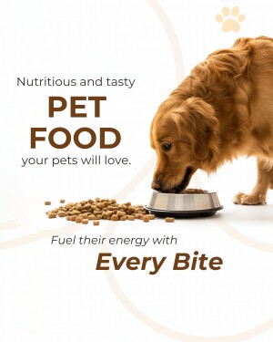 Golden retriever eating from a bowl of dry pet food