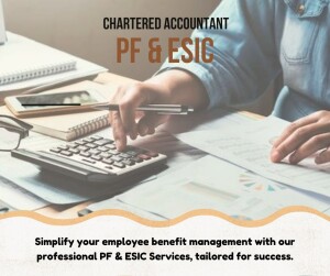 Chartered Accountant working on PF & ESIC calculations with calculator and paperwork