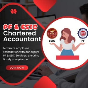 Promotional image for PF & ESIC Chartered Accountant services