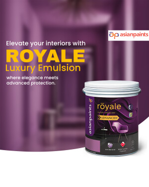 Asian Paints Royale Luxury Emulsion paint can with a purple wall background