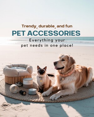 Golden Retriever and Siamese cat with pet accessories on a beach