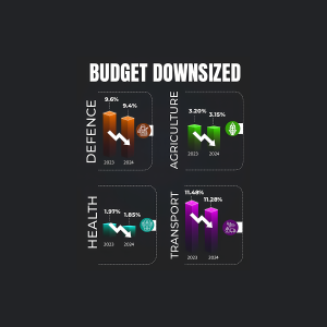Infographic showing decreased government spending in Defence, Agriculture, Health, and Transport between 2023 and 2024.
