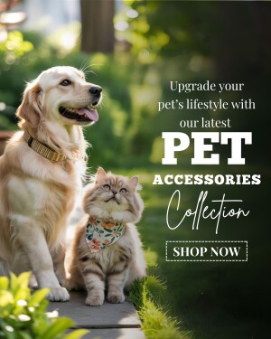 Golden Retriever and kitten with pet accessories, promoting a pet lifestyle upgrade.