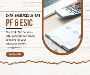 Image promoting PF & ESIC services offered by a Chartered Accountant.