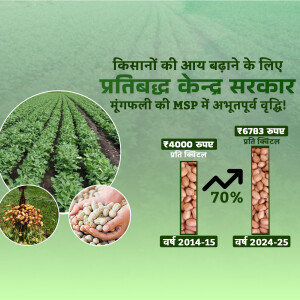 Image depicting government support for mung bean farmers with MSP increase.