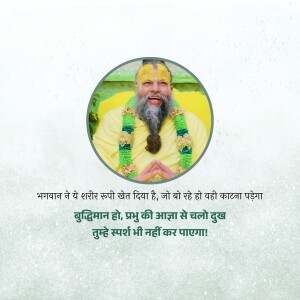 Portrait of a spiritual guru with a long beard and yellow attire