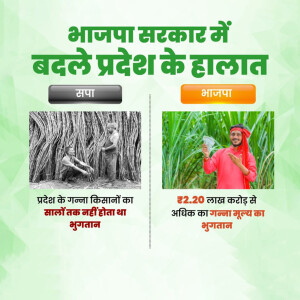 Comparison of sugarcane farmers' conditions before and after BJP government in Uttar Pradesh, India.