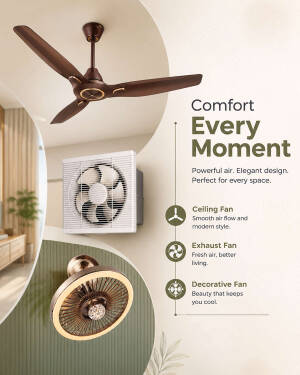 A montage showcasing a dark brown ceiling fan, a white exhaust fan, and a decorative designer fan on a light beige background.