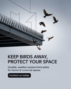 My Business business banner