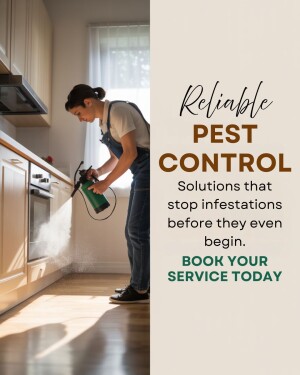 Pest control technician spraying insecticide in a kitchen
